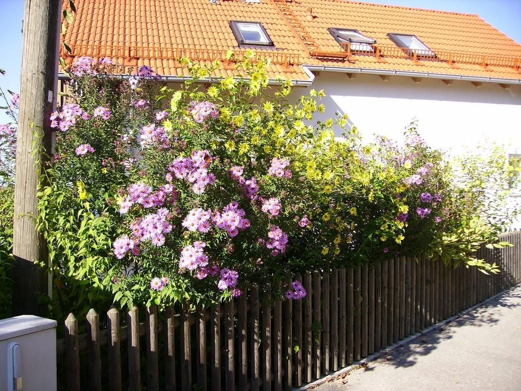 הוילה Wörth Wiflinger Graben Einfamilienhaus מראה חיצוני תמונה